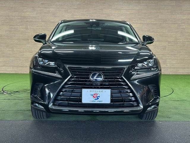 LEXUS NX300h