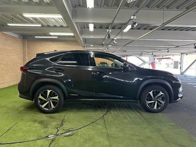 LEXUS NX300h
