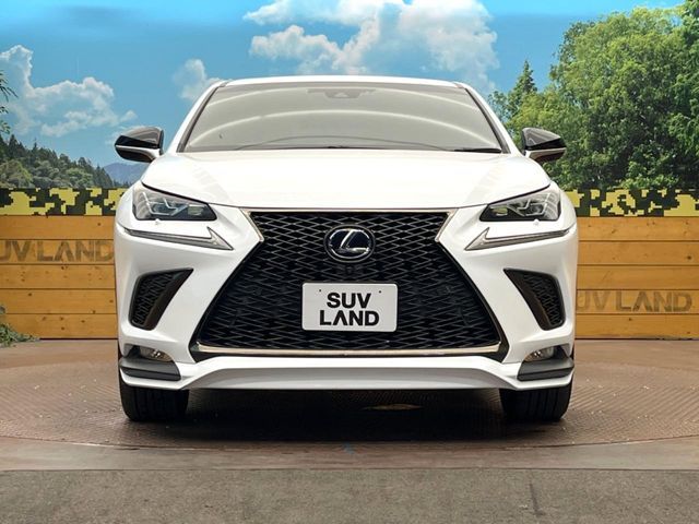LEXUS NX300h