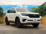LANDCRUISER PRADO