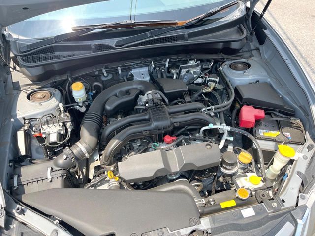 EXIGA CROSSOVER 7