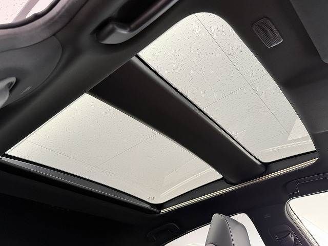 CROWN SPORT