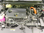 CROWN SPORT