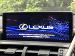 LEXUS NX300