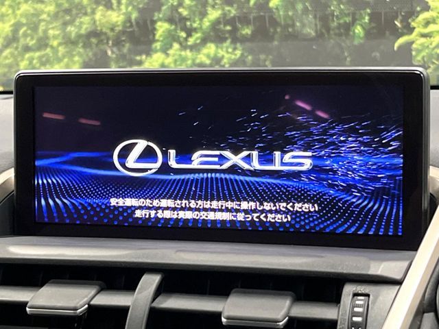 LEXUS NX300