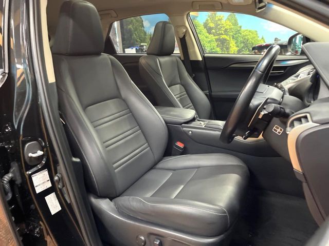 LEXUS NX300
