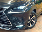 LEXUS NX300