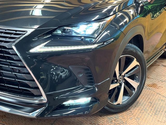 LEXUS NX300