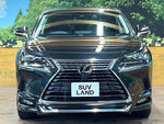 LEXUS NX300