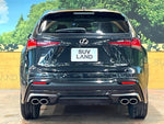 LEXUS NX300