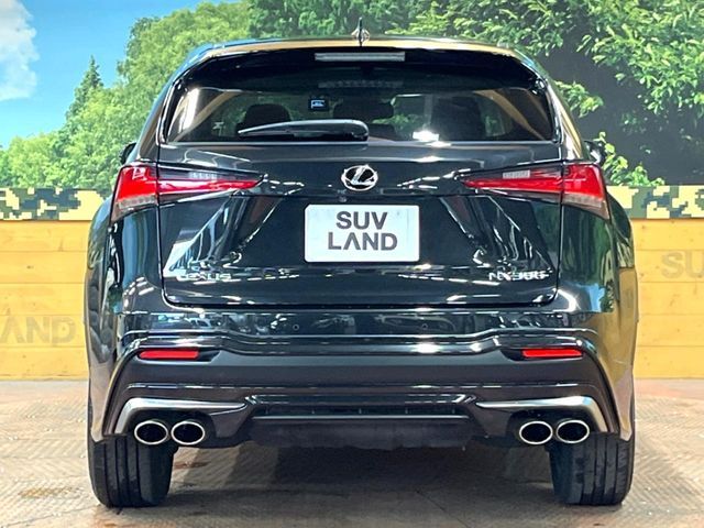 LEXUS NX300