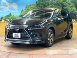 LEXUS NX300