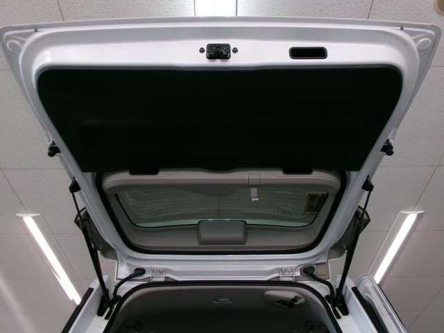 SERENA WG 4WD
