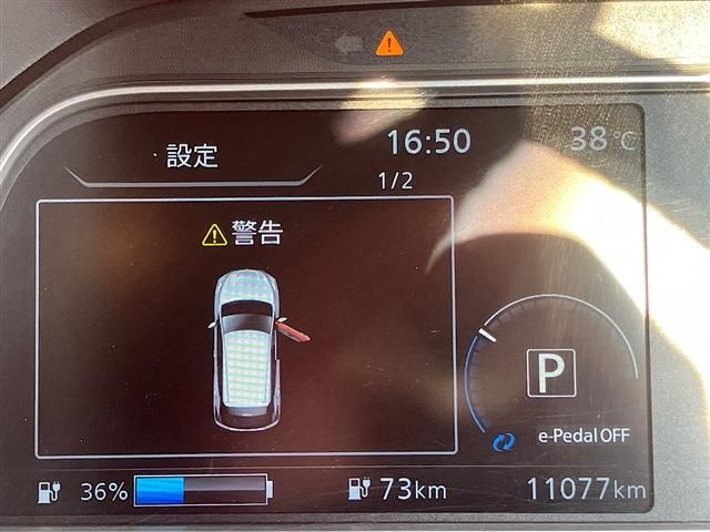 LEAF