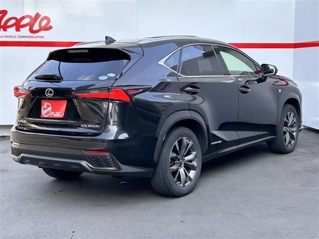 LEXUS NX300h