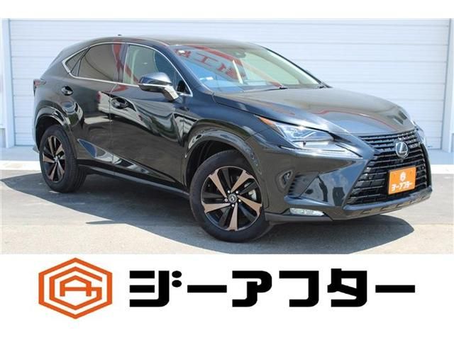 LEXUS NX300