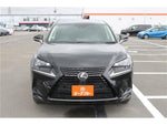 LEXUS NX300