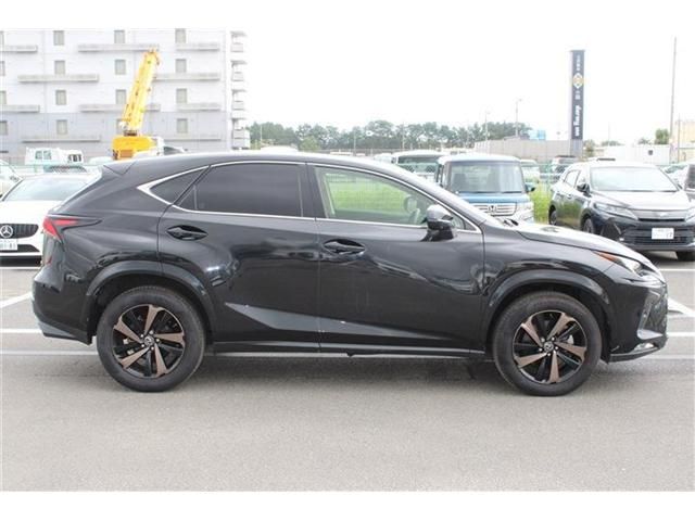 LEXUS NX300