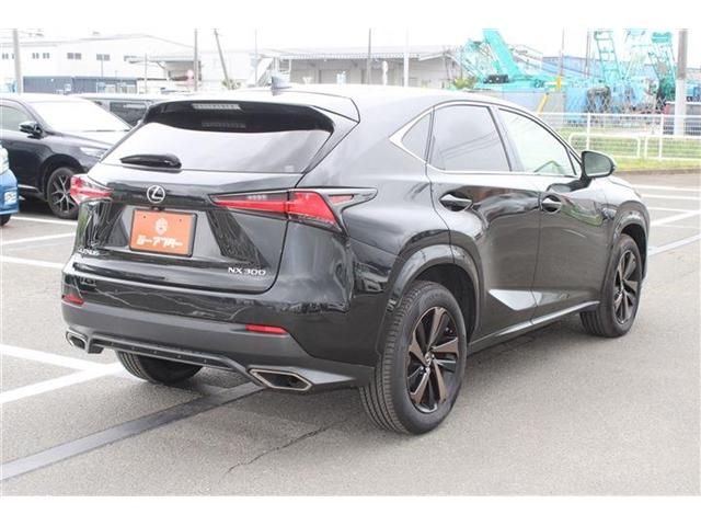 LEXUS NX300