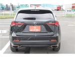 LEXUS NX300