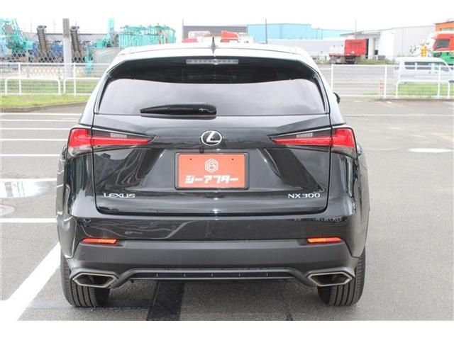 LEXUS NX300