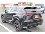 LEXUS NX300