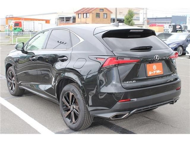 LEXUS NX300