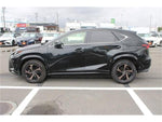 LEXUS NX300