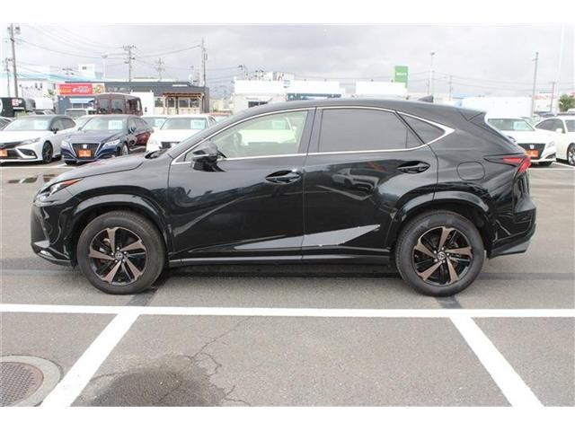 LEXUS NX300