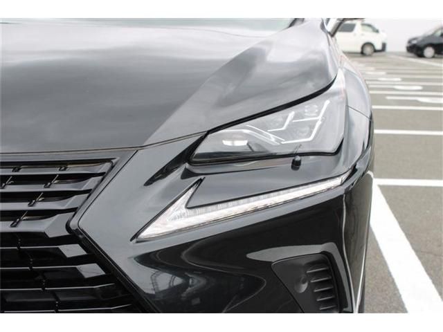 LEXUS NX300