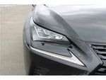 LEXUS NX300