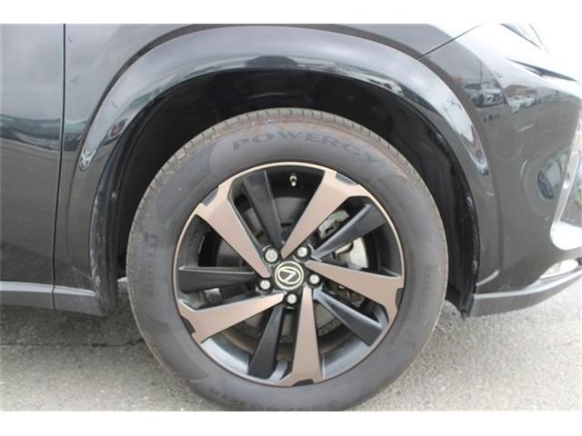 LEXUS NX300