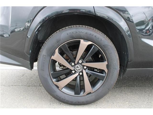 LEXUS NX300