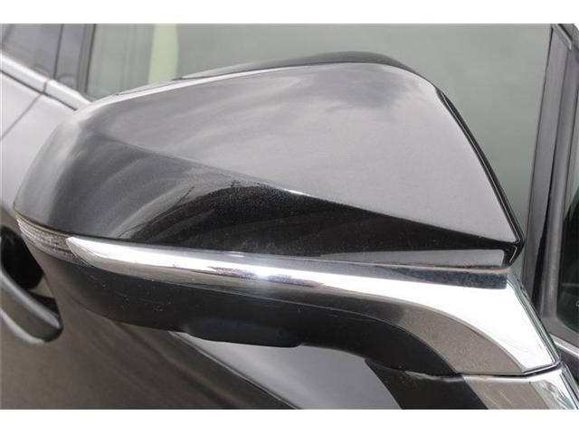 LEXUS NX300