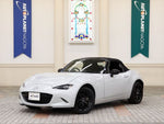 ROADSTER
