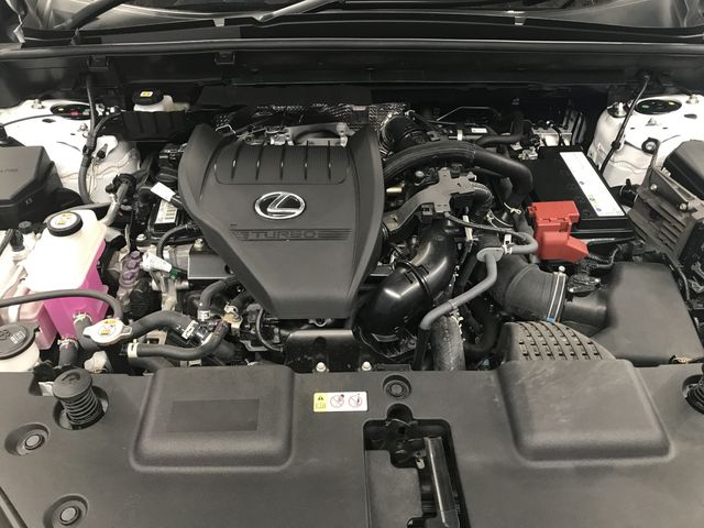 LEXUS NX350 AWD