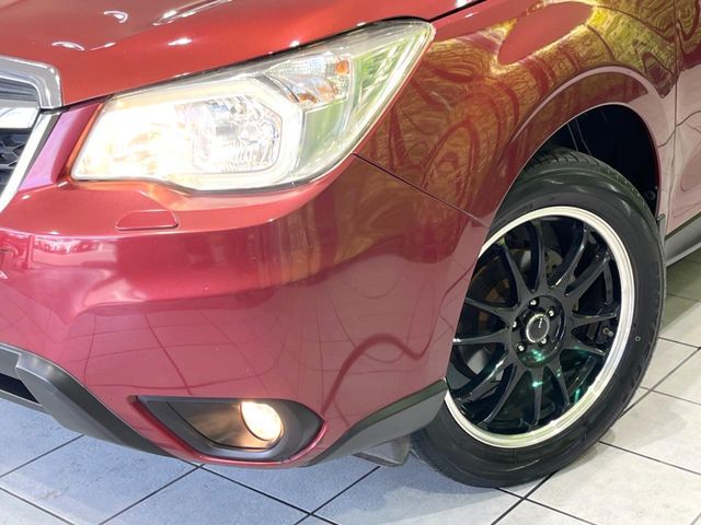 FORESTER