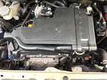 ALTO LAPIN Chocolat