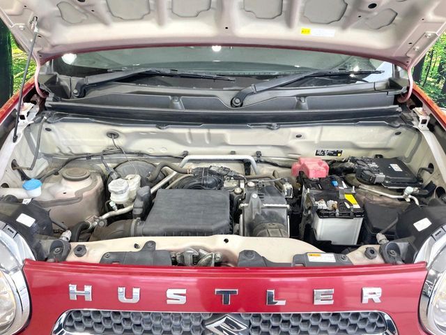HUSTLER