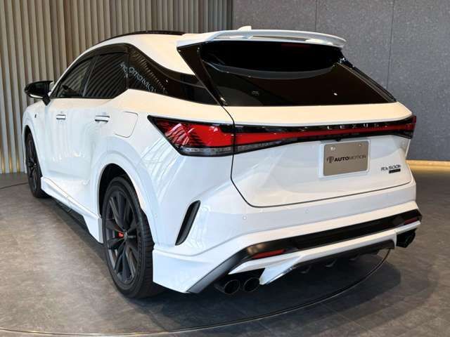LEXUS RX500h