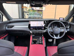 LEXUS RX500h