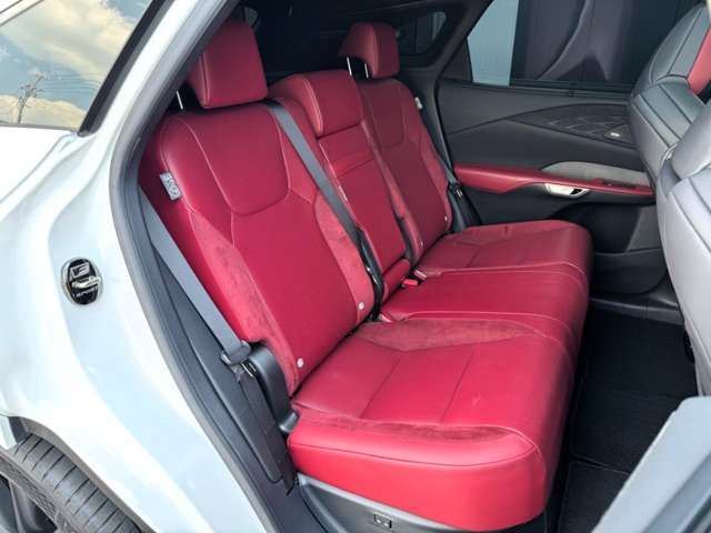 LEXUS RX500h