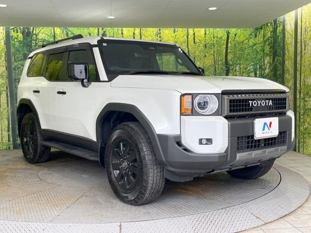 LANDCRUISER 250
