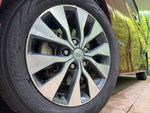 SERENA  S-HYBRID