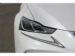 LEXUS IS300h