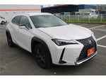 LEXUS UX250h