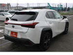 LEXUS UX250h