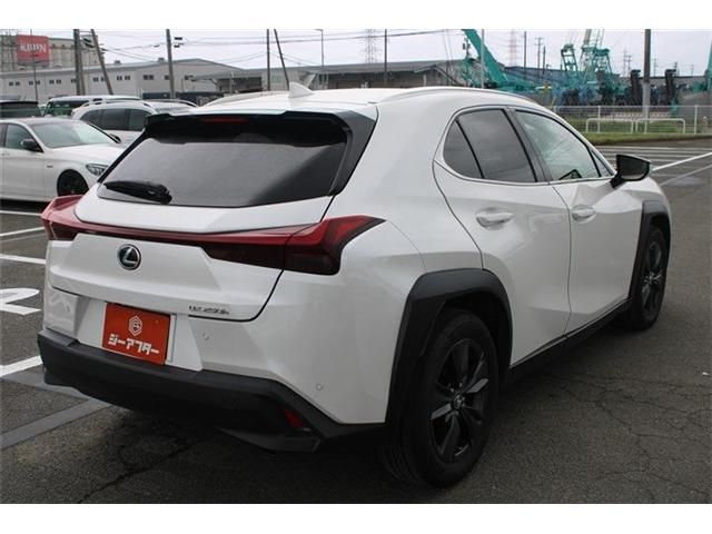 LEXUS UX250h