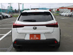 LEXUS UX250h