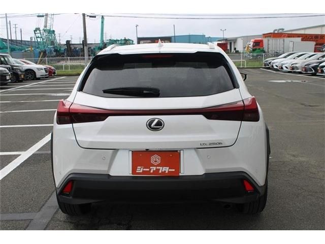 LEXUS UX250h